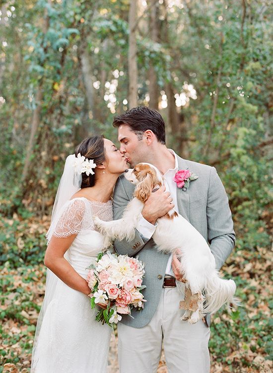 زفاف - Pets   Weddings