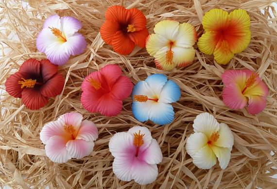 زفاف - Hibiscus Hair Clips,  2 3/4 Inch, One Dozen,  Hawaiian Hair Flowers, Hibiscus Hair Flowers
