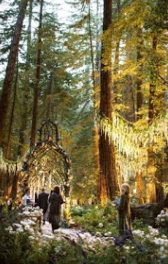 Mariage - Fairytale Woodland Weddings