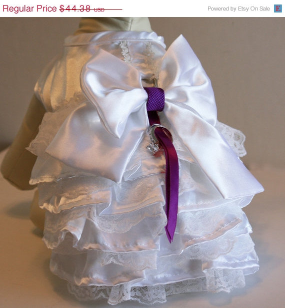 Hochzeit - White and Purple Dog dress, Dog ring bearer, Purple Wedding accessory, Unique Purple Wedding idea, Chic, Pet lovers, Ring Pillow