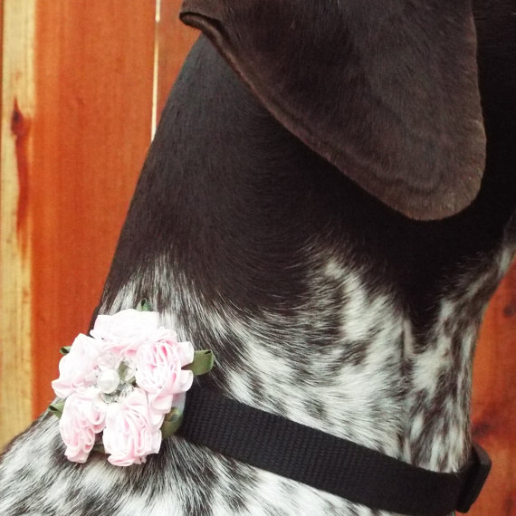 Hochzeit - Valentines Pink Carnations Fabric Flower Dog Collar Accessory for Cats and Dogs - Great Wedding Accessory for your pet!