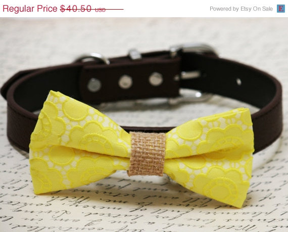 Hochzeit - Yellow and brown dog bow tie -Yellow Floral dog bow tie, Yellow wedding dog collar, Burlap wedding, dog birthday gift, Summer wedding