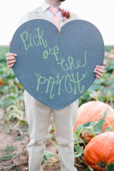 Mariage - Pumpkin Patch Wedding Photo Shoot From Mallory Morgan Photography