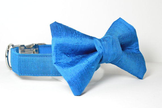 زفاف - Wedding Dog Collar and Bow Tie - Ocean Blue Silk With Metal Hardware - peacock blue, designer dog collar, matching leash