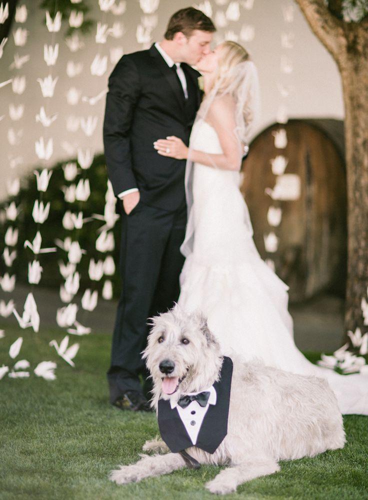 Свадьба - Puppy LOVE