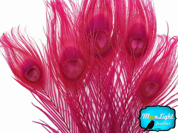زفاف - Peacock Tails, 5 Pieces- HOT PINK Bleached and Dyed Tails with Full Eyes Peacock Feathers: 266