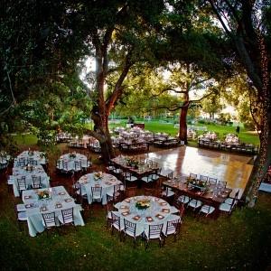 Wedding - I'd Love To Play Here