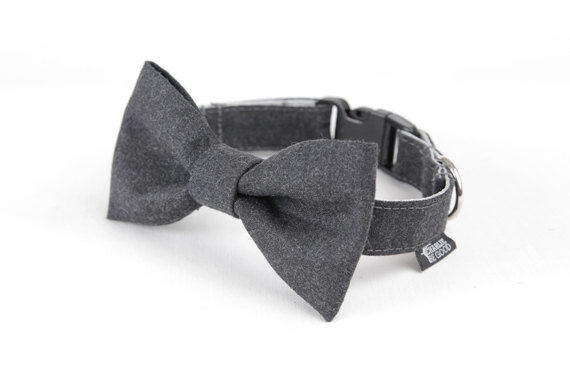 Hochzeit - Dog Bow Tie - Smokey Grey