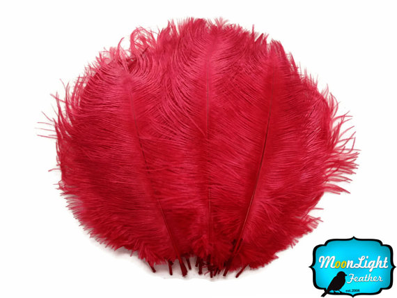 زفاف - Large ostrich plumes, 1/2 lb - 8-10" RED Wholesale Ostrich Drab Feathers (Bulk) : 3913