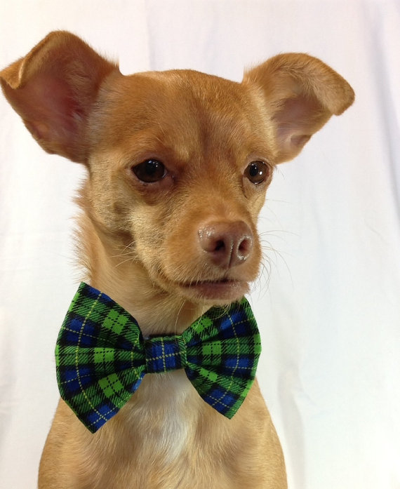 Wedding - Blue and Green Plaid Pet  Bow Tie