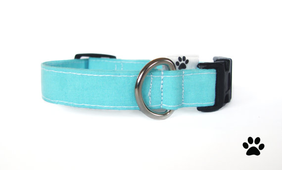 زفاف - Aqua blue - pet collar, dog collar, cat collar