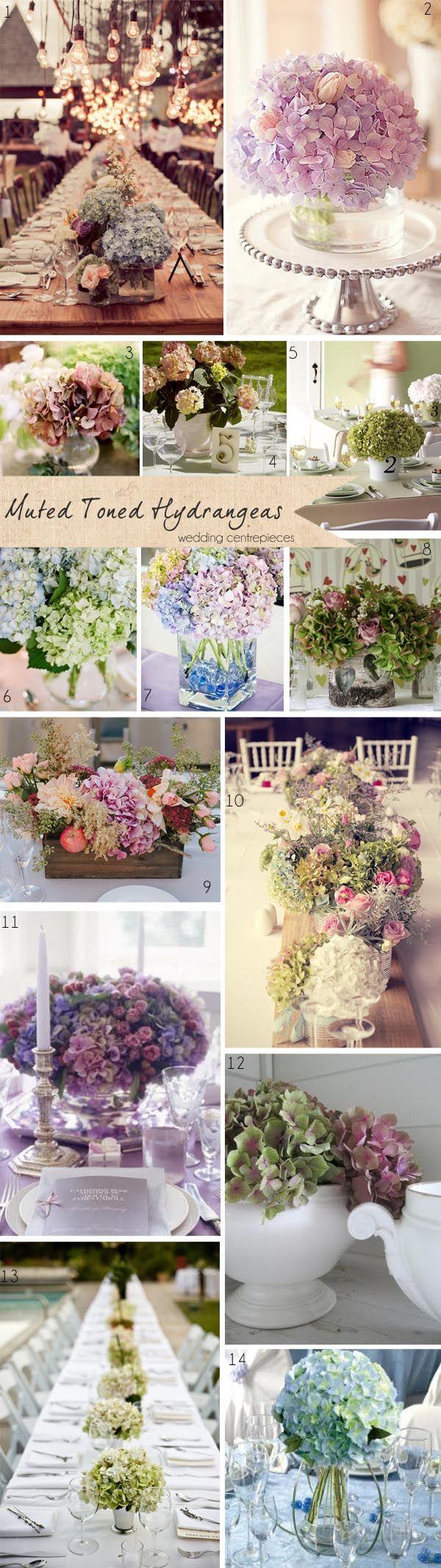 زفاف - Muted Toned Hydrangeas ~ Get To Know Your Wedding Flowers