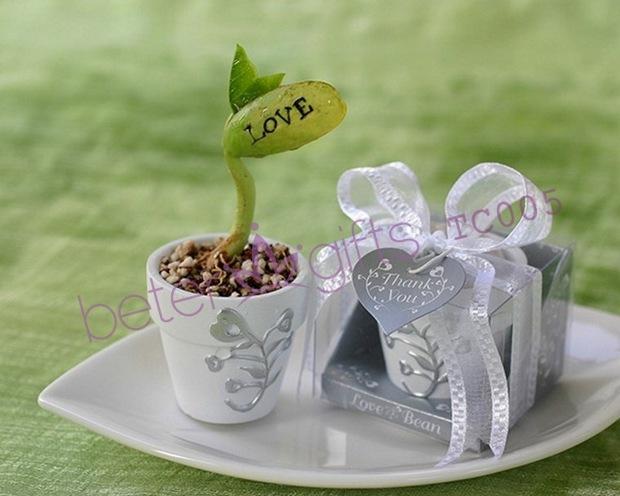 Свадьба - Free Shipping 100pcs Love Message Bean Wedding Present TC005