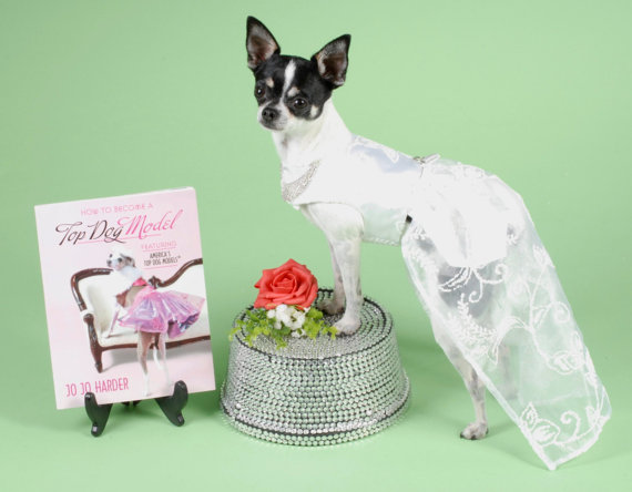 Mariage - White Wedding! Dog Wedding Dress, Couture, Dog Clothes, Bridal Dog Dress, Pet Apparel, Pet Clothing.