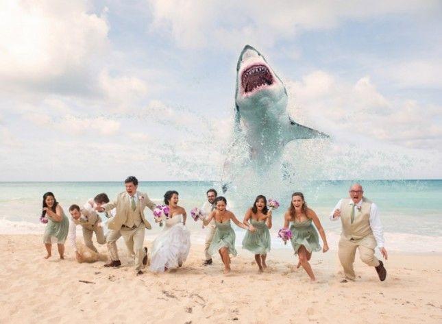 Hochzeit - The 22 Craziest And Most Creative Wedding Photos Ever