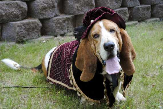 Wedding - Custom Renaissance Tudor Royal Ringbearer Dog Pet Costume outfit for LARGE XL pet