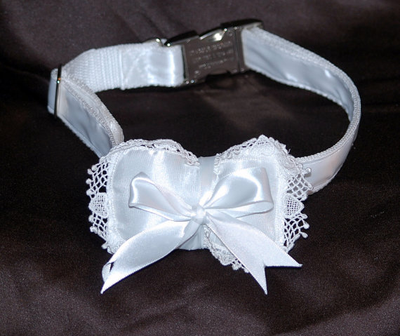 زفاف - The Ring Bearer collar 1" wide webbing