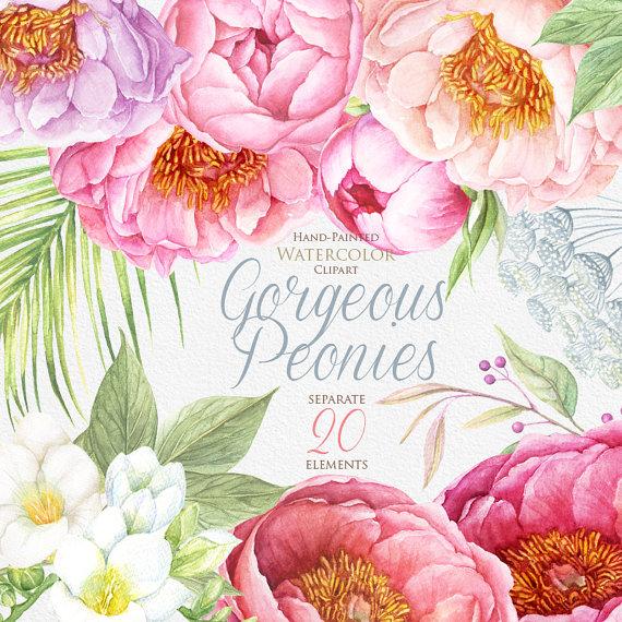 زفاف - Peonies Watercolor Flowers Clipart. BOHO, Hand painted Watercolour floral, Wedding invitation, DIY elements, invite, greeting card, 