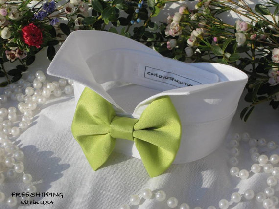 زفاف - Lime Green Satin Bow on Wingtip Tuxedo Collar~Custom Made~Wedding Dog Collar~Bow Tie Dog Collar~Dog Tuxedo~Best Man~Free Shipping Within USA
