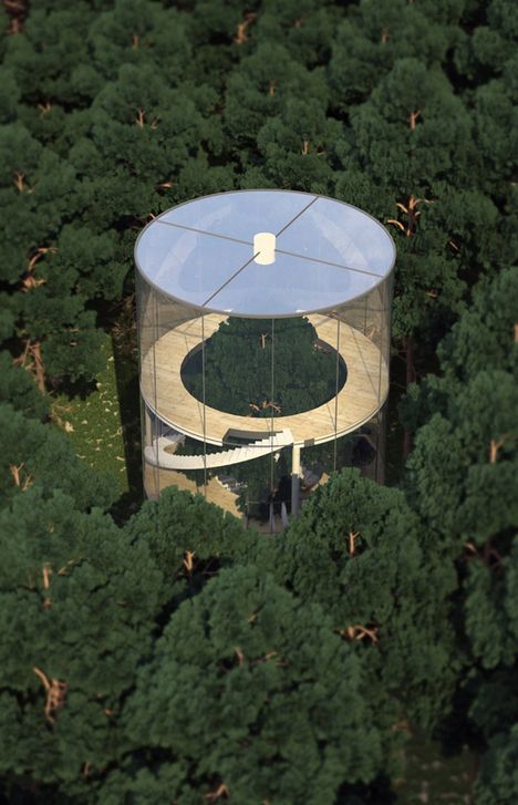Hochzeit - This Literal Treehouse Is A Glass House Built Around An Entire Tree