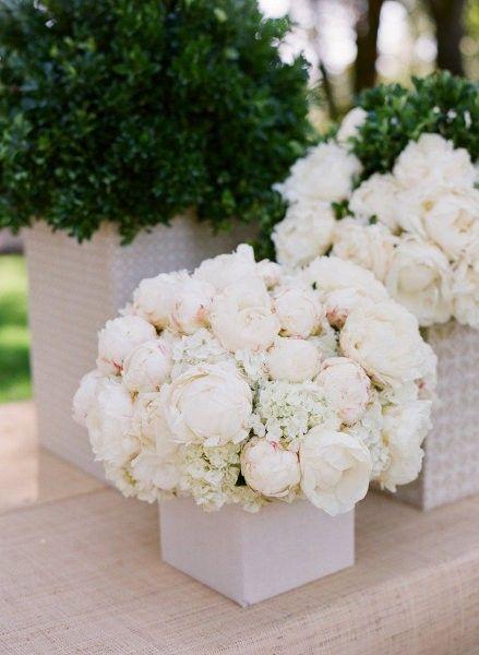 Wedding - Hydrangea And White Peonies  Boxwoods - Weddingsabeautiful