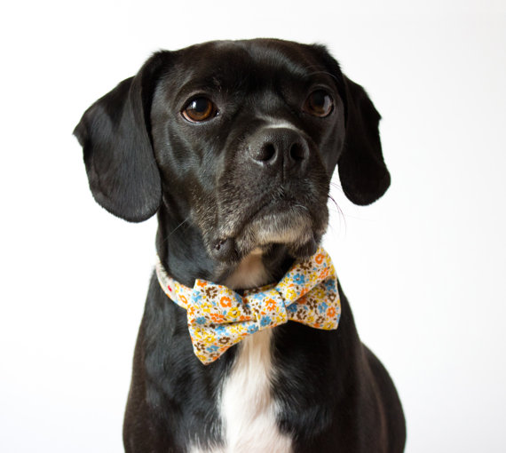 زفاف - Yellow Floral Dog Bow Tie Collar