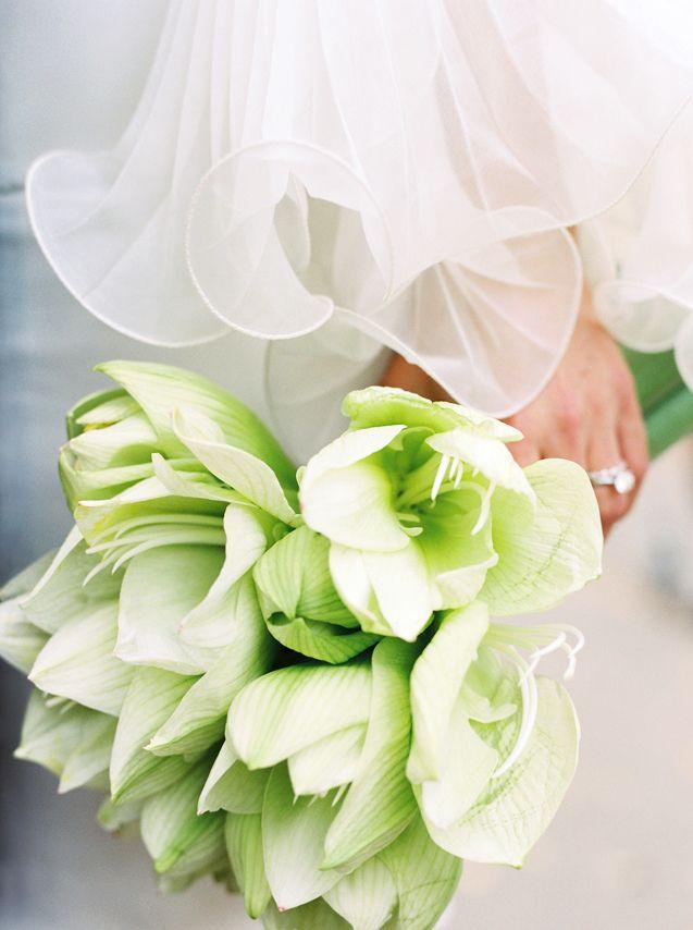 Hochzeit - Flowers (Bouquets, Etc.)