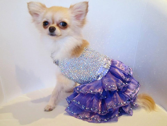 زفاف - Dog Dress Couture Sparkling Mystic with Swarovski Crystals