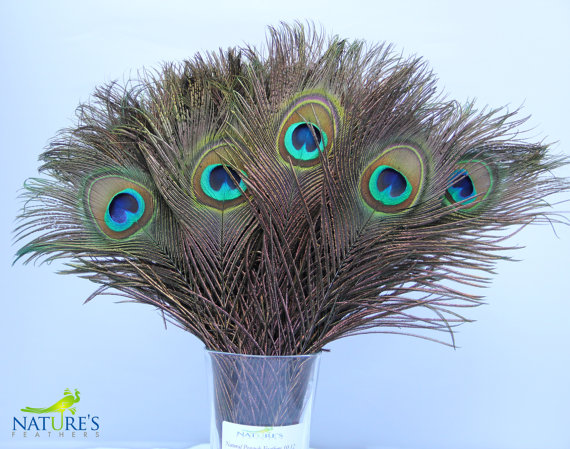 Mariage - 100pcs Real, Natural Peacock Feathers about 12-15 Inches High Quality free shipping to Canada