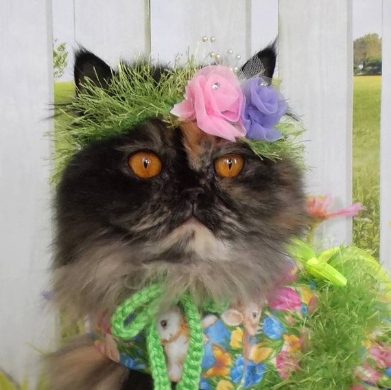 Свадьба - NEW - Floral Headband for Pet - Wedding Bridal - 2 to 20 lb dog or cat