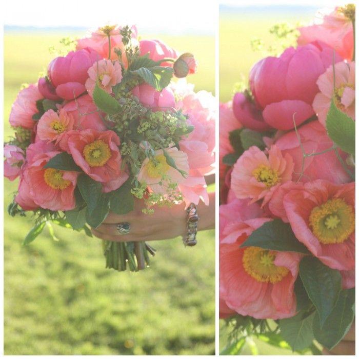 Wedding - FLOWER FOCUS: Icelandic Poppy Primer  @  Floret Flower Farm