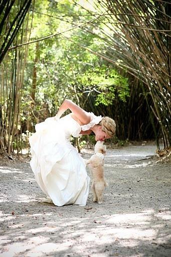 Hochzeit - Unique Wedding Photography ♥ Cute Wedding Photography #803108