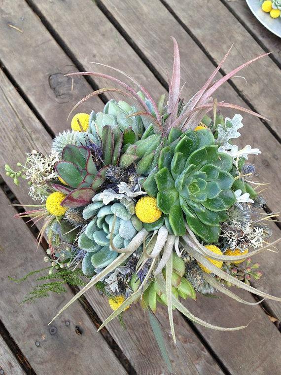Wedding - Bridal bouquet, air plants and succulents with craspedia, blue thistle and lichen