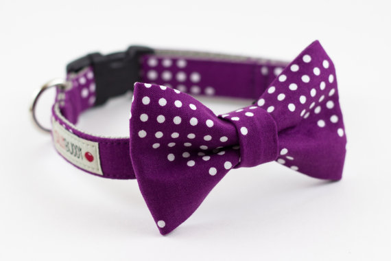 Hochzeit - Purple Dots Dog Bow Tie Collar