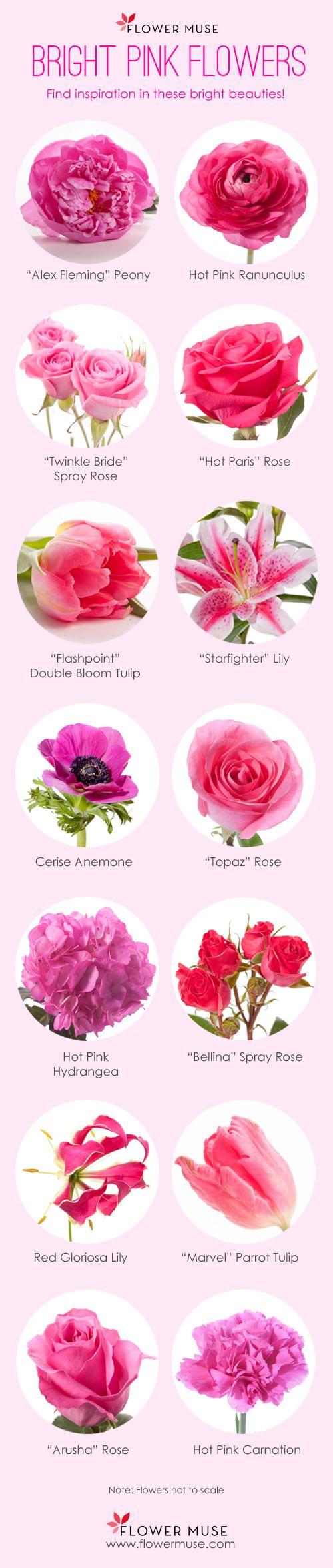 Hochzeit - Our Favorite: Bright Pink Flowers - Flower Muse Blog