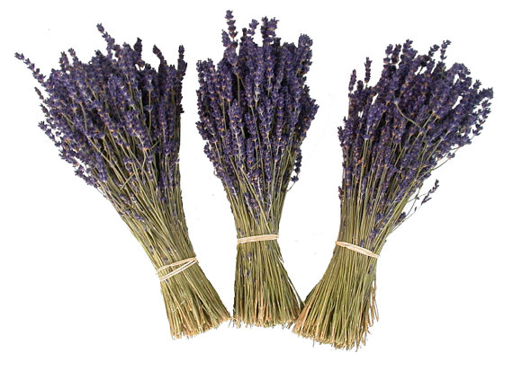 زفاف - Lavender - Preserved Lavender - Provence Lavender - 2015 crop - Lavender Bunch - Lavender Bouquet - Bouquet - French Lavender -Wedding Decor