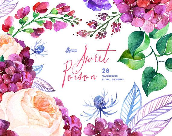 Wedding - Sweet Poison: 28 Watercolor Elements, hydrangea, roses, poppy, wedding invitation, floral, greeting card, diy clip art, purple flowers