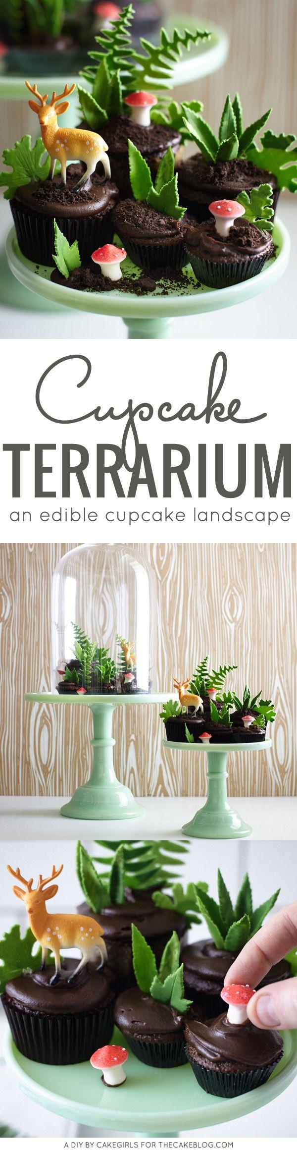 Hochzeit - DIY Cupcake Terrarium
