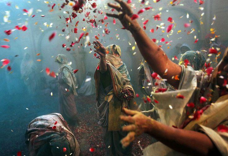 زفاف - Holi Festival In India