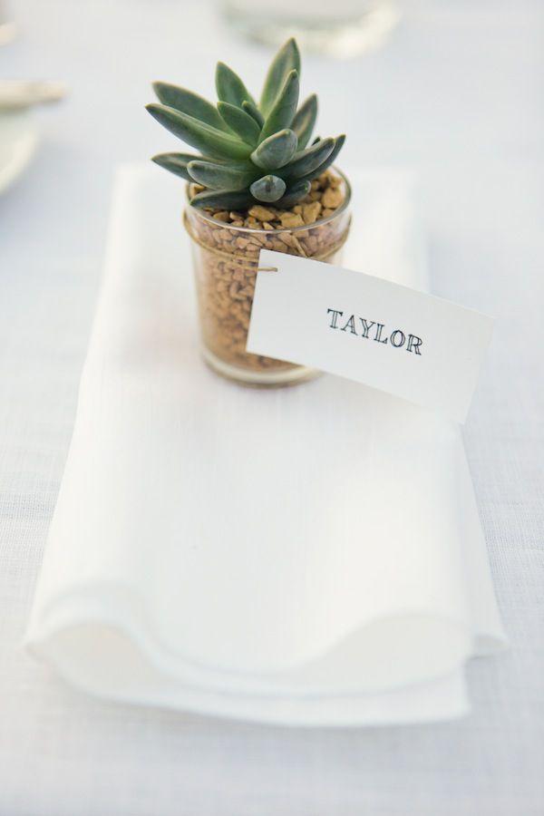 Mariage - Succulent Wedding Favors 2