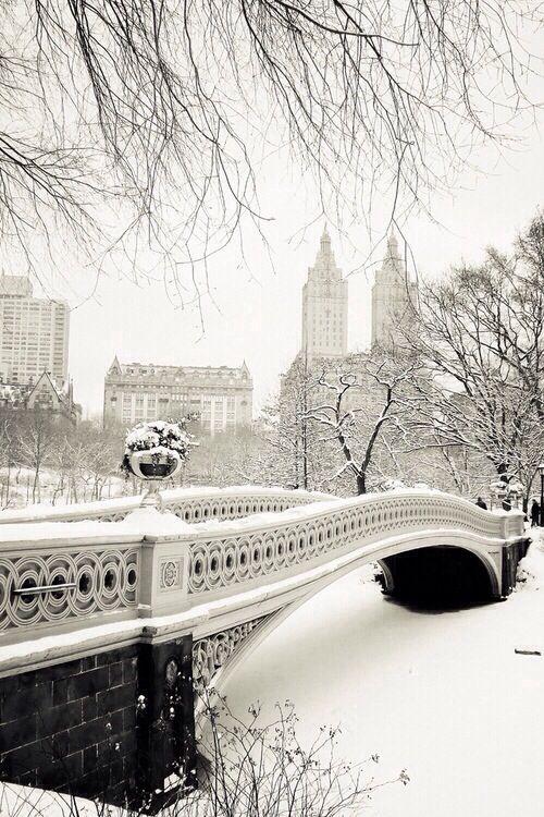 Wedding - Top 10 Most Astonishing Photos Of NYC Covered With Snow