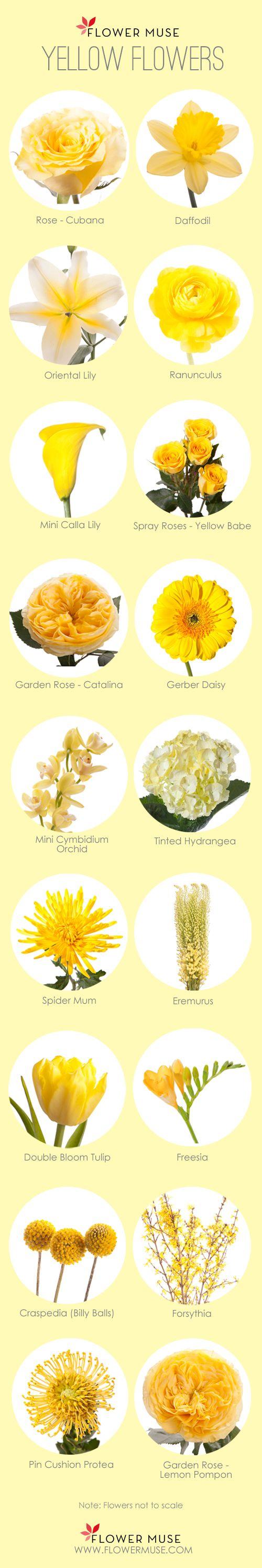 زفاف - Our Favorite: Yellow Flowers - Flower Muse Blog