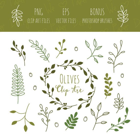 Hochzeit - Olive Branches Clip Art, EPS And Bonus Photoshop Brushes
