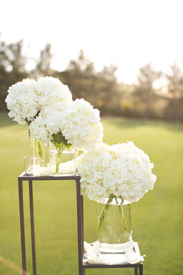 Hochzeit - White Hydrangea Wedding Decor