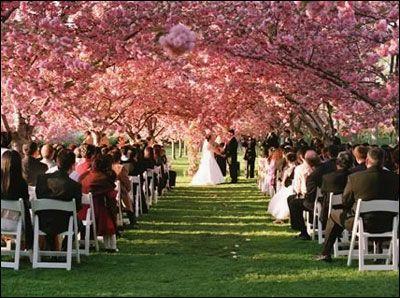 Свадьба - Maine Weddings & Wedding Planning - Mywedding.com