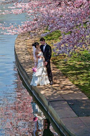 Hochzeit - Cherry Blossom Wedding Theme Ideas