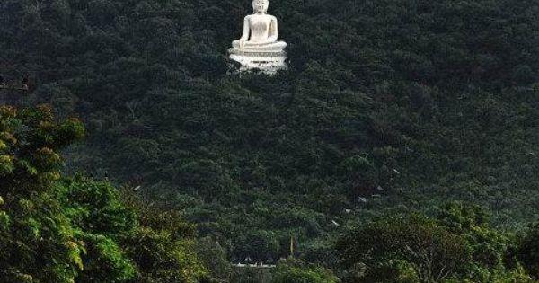 Свадьба - Buddha Statue In Forest Pak Chong, Thailand