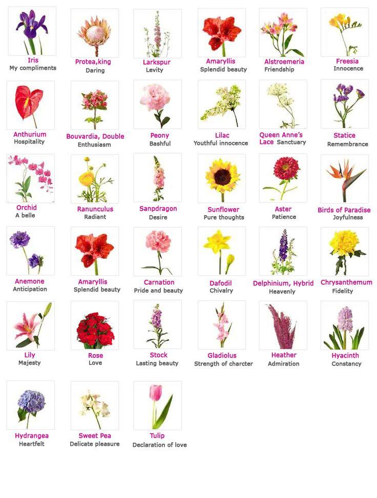 Свадьба - Flowers, Their Meanings, And Which Ones NOT To Give Your Valentine