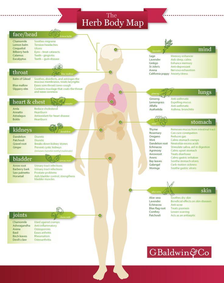 Mariage - Specific Herbs For Specific Parts Of Your Body