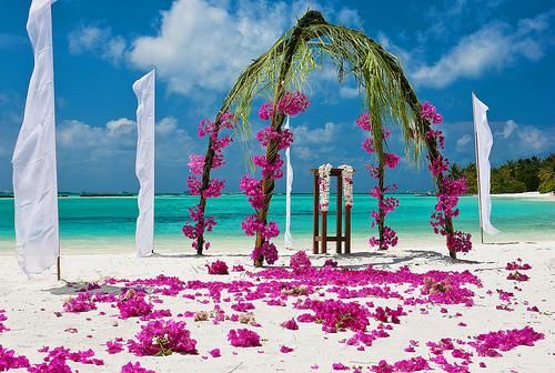 Mariage - 7 Great Reasons To Plan A Destination Wedding ...
